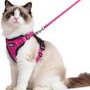 rabbitgoo Cat Harness and Leash for Walking, Escape Proof Soft Adjustable Vest Harnesses for Cats, Easy Control Breathable Reflective Strips Jacket, Rose Red, Medium