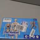 Human Body Model for Kids, Fully Transparent Body, 29 Piece Anatomy Figure 3D Anatomy Kit  Removable Organs, Bones STEM Toy for Ages 6+