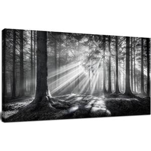 Trogonup Black and White Misty Forest Wall Art for Living Room Trees Large Nature Canvas Artwork for Bedroom Office Home Decor Ready to Hang 20"x40", 20L" x 40W"