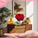 2 x Handmade Crochet Flowers, Crochet Roses, Knit Flowers, Teacher Appreciation Gifts, Perfect for Birthday, Anniversary, Christmas, Rose (Red)