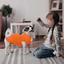 Kuoser Dog Coat, Winter Coats for Small Dogs, Dog Cold Weather Coats Doggie Jacket, Pet Snow Jacket for Frech Bulldog, Boston Terrier, Orange M (M (Chest Girth: 20.9''))