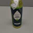 Puracy Professional Carpet Cleaner Machine Detergent, 4x Concentrated Upholstery Cleaner, Natural Carpet Shampoo, Pet Stain Remover & Deodorizer, Makes 20 Gallons of Cleaning Solution, 25 Ounce