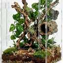 12x12x18 Clear Acrylic Reptile Enclosure, Front Opening, 360° View Tank