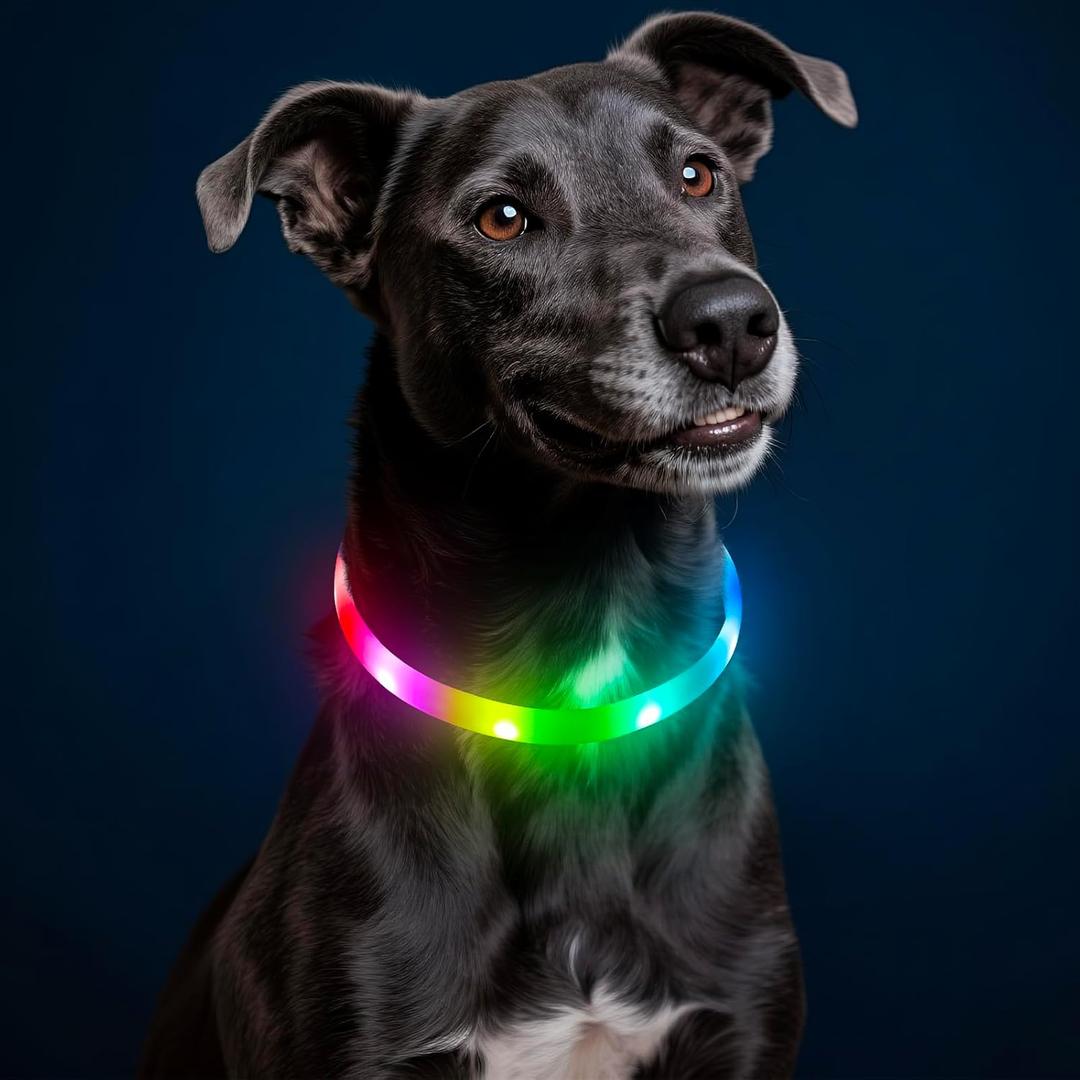 HIGO RGB LED Dog Collar Light - USB Rechargeable Light Up Dog Collars, Safety LED Dog Necklace for Your Dogs Walking at Night (Multi-Color)