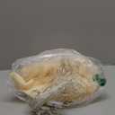 Champagne Tulle Backdrop Curtain with Lights String for Parites Wedding 10x8ft Champagne Sheer Backdrop Curtains for Bridal Shower Baby Shower Birthday Party Photo Booth Background Decorations