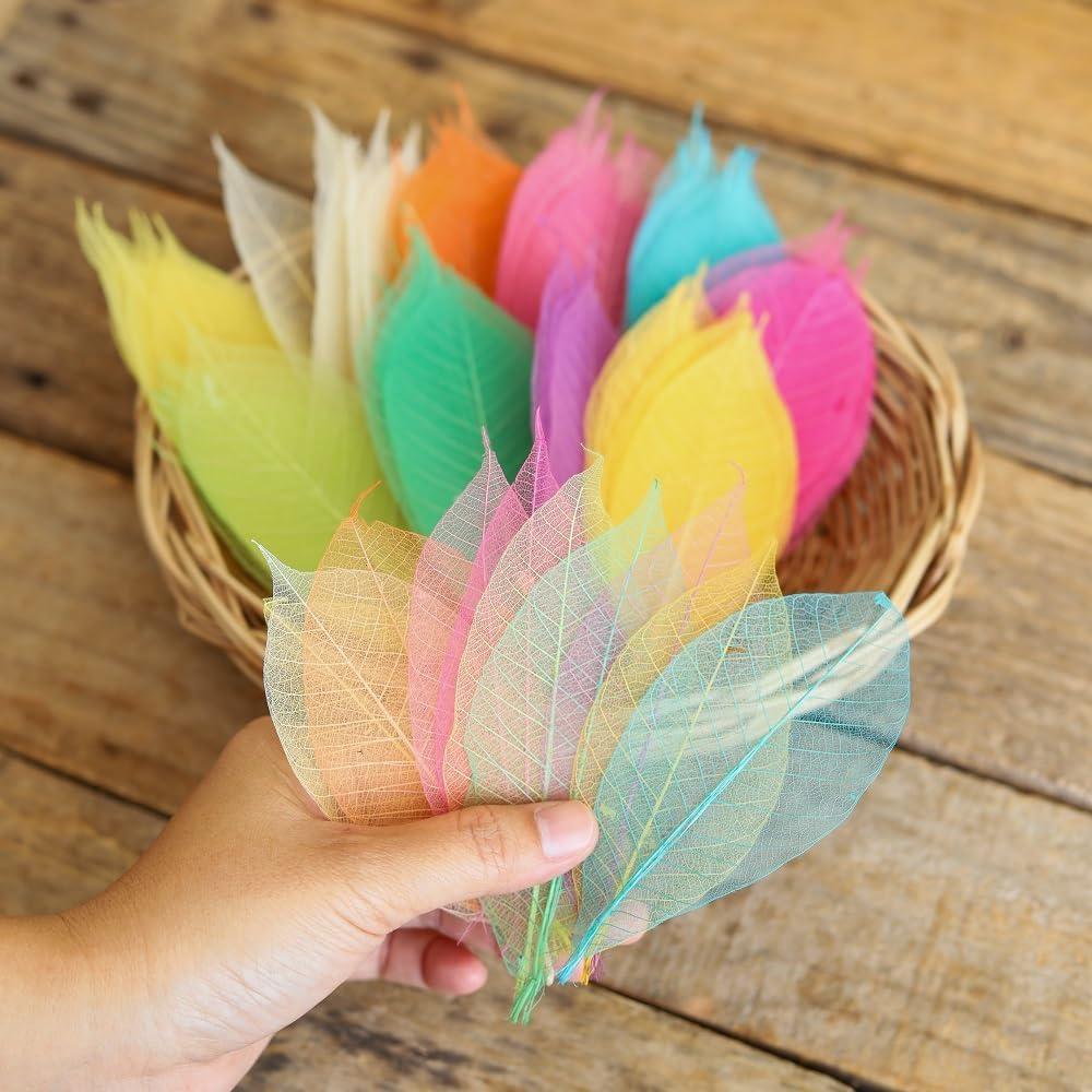 100 Pcs Mixed Colors 4-5 Inches Skeleton Leaves Rubber Tree Natural Scrapbook Craft, Card Wedding, Leaf Vein for Resin Art DIY Craft (Mixed Colors)