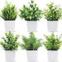 Der Rose 6 Pack Small Fake Plants Artificial Plants in Pots for Home Bthroom Bedroom Living Room Decor IndoorGreen