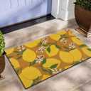 Tinideya Outdoor Lemon Door Mat with Floral Design, Non Slip Coir Doormat for Front Door, 29 x 17 Inch, Spring Summer Entry Rug for Porch Patio Farmhouse Decor