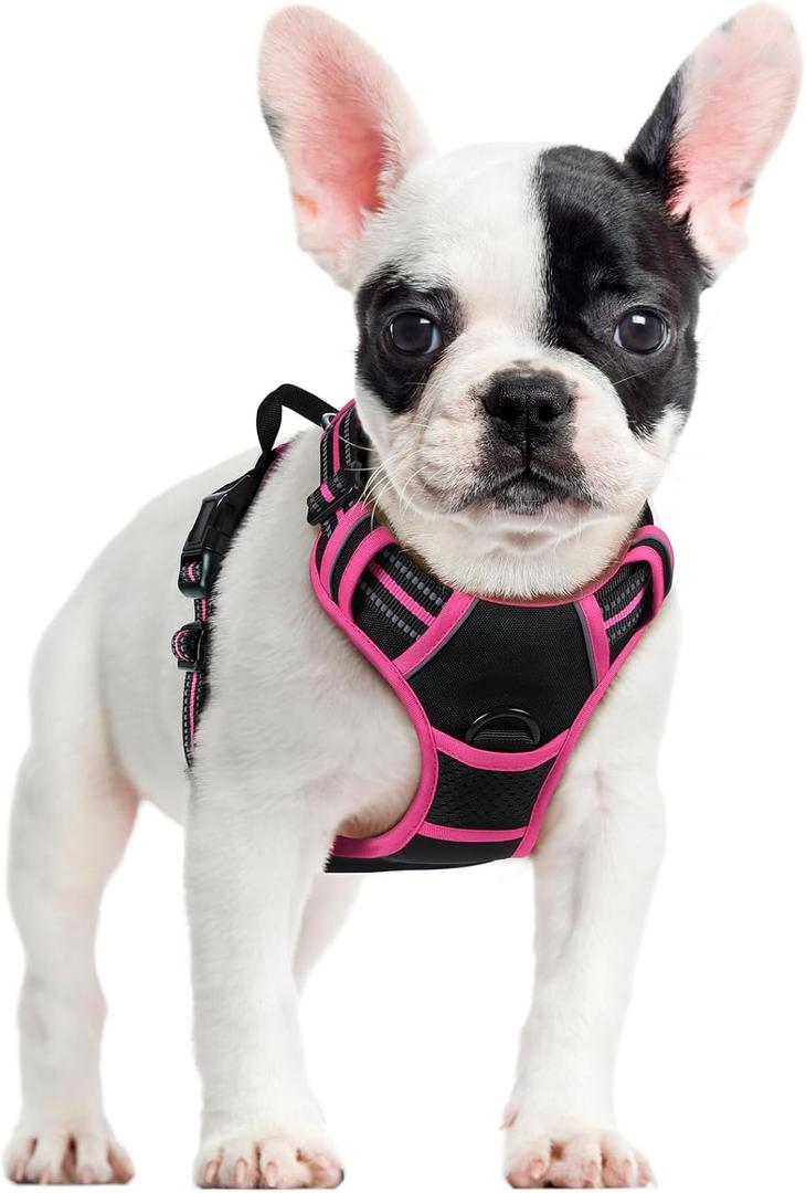 rabbitgoo Dog Harness No Pull with 2 Leash Clips, Adjustable Soft Padded, Reflective Oxford No Choke Pet Vest with Easy Control Handle for Large Dogs, Black & Hot Pink, Smal