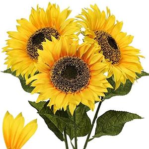 Large Sunflowers Artificial Flowers 8" Full Bloom Long Stem Artificial Sunflower 33" Tall Sun Flowers Giant Silk Sunflowers with Stem Fake Sunflower Floral Arrangement for Home Wedding Decoration