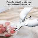 PAKEWAY Dog Nail Clippers with LED Light - Pet Nail Trimmer and File for Small/Medium Dogs, Puppies, Cats, and Rabbits (Grey)