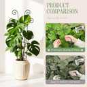 4 Pack 30 Inch Tall Metal Plant Trellis for Climbing Plants Indoor - Rustproof Garden Trellis for Potted Houseplants, Sturdy Support for Ivy, Pothos, Monstera, Hoya & Flower Vines