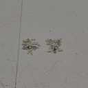 NUOBESTY Pearl Shoe Buckle, DIY Shoe Buckle Rhinestones Crystal Clips Fashion Clips DIY Decoration for Women Bride Wedding Supplies 1 Pair