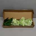 Waipfaru 21" Real Touch Hydrangea Artificial Flowers with Long Stem & Leaves, Full Latex Faux Hydrangea Flowers for Home Decor Party Floral Arrangements Wedding Bouquets Centerpieces, Green 3Pcs