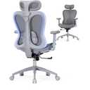 Ergonomic Office Desk Chair, Comfortable Computer Gaming Chair, Breathable Mesh Back & Seat, Adjustable Armrest & Headrest, Lumbar Support, Butterfly Design for Home Office (Gray)