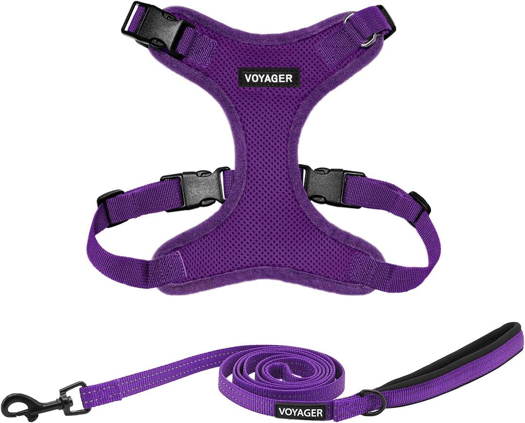 Voyager Step-in Lock Dog Harness w Reflective Dog Leash Combo Set with Neoprene Handle 5ft - Supports Small, Medium and Large Breed Puppies/Cats by Best Pet Supplies - Purple, XS (XS (Chest: 13 - 16" * Fit Cats))