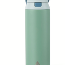 24oz Stainless Steel 2-in-1 Straw and Chug Water Bottle with Push Lid, Sage