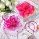 2 Packs Fascinator Hats for Women Tea Party Derby Hats Mesh Flower Feathers Headbands and Clips Tea Party Headwear