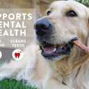 3 x Bully Stick,Small, Single-Ingredient, Premium, All-Natural Grass-Fed Bull Stick, Long Lasting Dog Chew for Aggressive Chewers - 6.5 oz | for Medium Dogs (EXP 12/01/25)