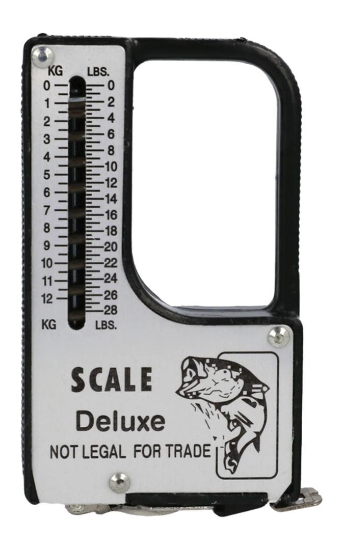 Danielson 28-Pound Scale with 38-Inch Tape