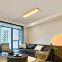 Dimmable LED Ceiling Light, Modern Linear Metal Ceiling Lamp, 23.6" Flush Mount Ceiling Chandelier Lighting Fixture for Hallway Aisle Kitchen Dining Room, Gold