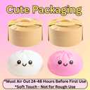 Dumpling Squishy Mystery Box 2 Pcs - 2026 Upgraded Dumplings Squishes for Adults Teens Squeeze Easter Basket Stuffers & Stocking Stuff Smiling Pink and White