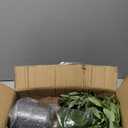 Faux Olive Tree 6FT, Olive Trees Artificial Indoor, Fake Tree with Realistic Leaves & Fruits for Home Office Living Room Decor