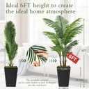 6FT Artificial Palm Tree, Tall Faux Palm Tree Indoor with Black Fake Plants Tall, Artificial Plants with Lifelike Leaves for Home Office Decor (Black)
