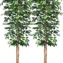 6Ft Artificial Ficus Trees with Silk Leaves Fake Moss and Sturdy Nursery Pot, Fake Plants for Office Home Decor (6Ft -2Packs)
