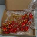 Lyrow 24 Pcs Galaxy Rose Flowers Valentine's Day Gift Flowers with Stems Gift for Her Forever Preserved 24k Fake Crystal Rose for Mother's Day Birthday Wedding Decor, 10'' (Red)