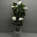 Artificial Camellia Tree for Indoor and Outdoor, Faux Flower Tree Plant in Pot Fake Topiaries for Home Front Porch Decor(1, White)