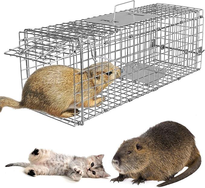 iMounTEK Humane Live Animal Trap Animal Trap 32X12.5X12In Large Humane Cat Trap Catch Release Animal Rodent Cage Collapsible Galvanized Wire for Small Raccoons Beavers Groundhogs Foxes Armadillos