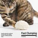 pidan Cassava Cat Litter clumping,Odor Control,Plant-Based Natural Ingredients,Ultra Absorbent and Fast Drying,No Dust,Unscented (5.3lb2bags)