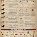 Horse Knowledge Metal Tin Sign Horse Care Vintage Funny Poster Club Living Room Kitchen Farm Home Art Wall Decoration Plaque