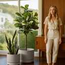 LE TAUCI Large 14 Inch Plant Pot with Saucer | Ceramic Outdoor & Indoor Big Planter Pot | Drainage Hole, Mesh Pad | Unglazed Porous | Modern Minimalist for Home and Patio Neutral Gray