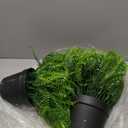 Set of 2 Large Potted Plants Artificial Ferns for Outdoor - Already Assembly Faux Ferns in Pots UV Resistant Realistic Fake Greenery Potted for Outdoor Home Office Patios Porches Yards Decor