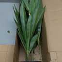Nearly Natural 48in Dracaena Silk Plant (Real Touch) Green