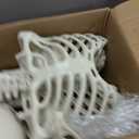 LINAYE 2 Pack 5.4ft Life Size Halloween Skeleton with Movable Joints