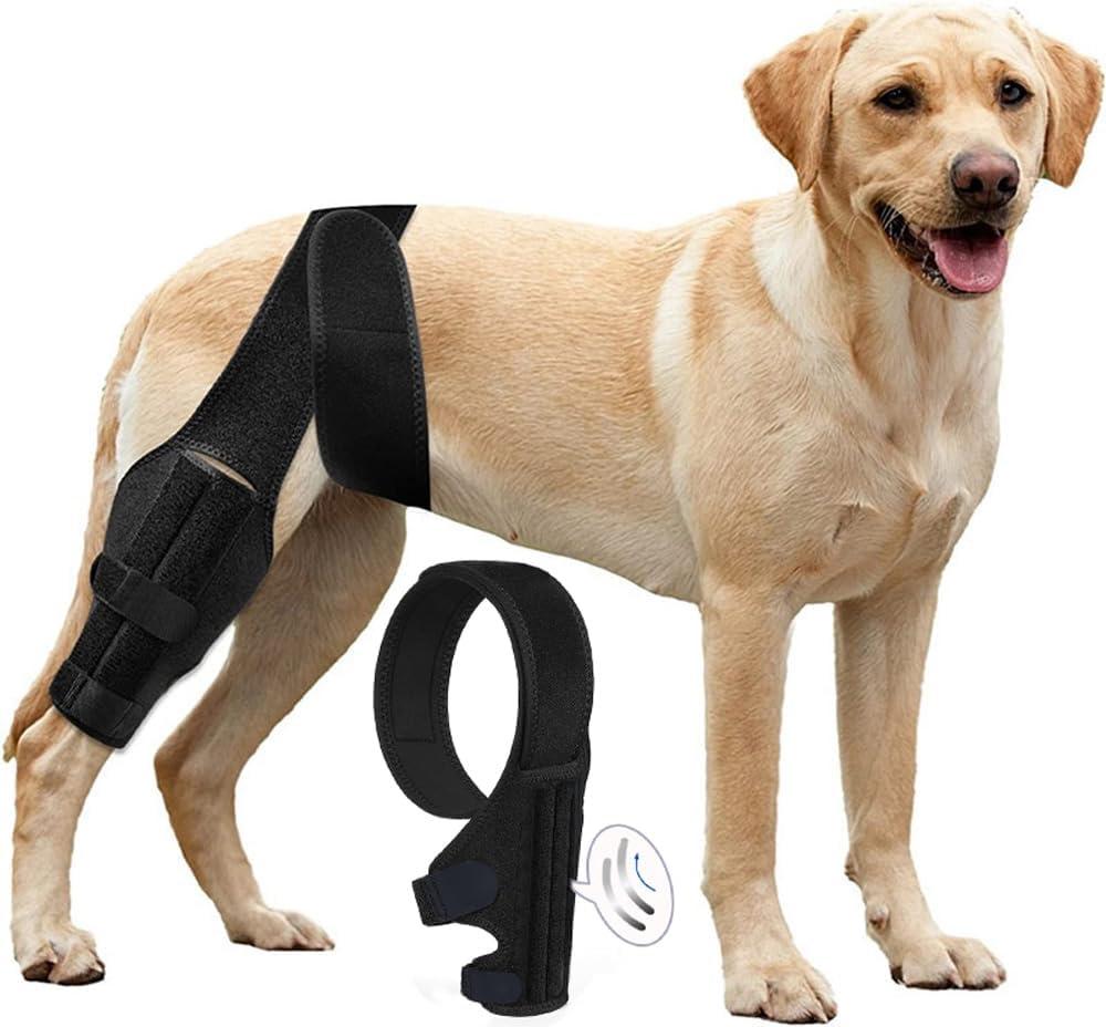L Dog Knee Brace for Torn Acl Hind Leg with Side Stabilizers, Better Recovery for Arthritis,Dog Leg Braces for Back Leg Keeps The Joint Warm and Stable