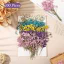 Woanger 100 Pcs Mini Dried Babys Breath Flowers Bulk for Resin Art DIY Craft Dried Natural Gypsophila Branches for Wedding Card Making, Gifts Wrap, Pressed Baby's Breath Flowers Bouquet, 5 Colors
