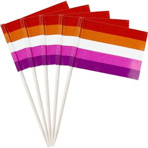 2 x stidsds 100 Pcs Pride Rainbow Flag Sunset Lesbian Toothpick Flags Mini Small Gay LGBTQ Cupcake Toppers Stick Flags Banner Rainbow Party Cocktail Fruit Decoration