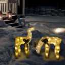Alpine Corporation 36" H 3D Frosted Reindeer Christmas Decor with LED Lights, Set of 2