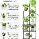 Plant Stand Indoor 6-Tier Metal Wood Plant Shelf for Multiple Flower Pots Corner Tall Flower Holders for Living Room Balcony Bedroom, Oak Grey