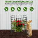 Round Plant Protector from Animals,12'' x 12'' Metal Wire Mesh Garden Plant Cages for Outdoor Gardening Supplies, Garden Protection Rabbits Chickens Ducks for Vegetables, Flowers, Shrubs