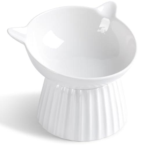 Wellbro Ceramic Raised Cat Bowl，Tilted Raised Cat Bowl Anti Vomit Cat Bowls for Indoor Cats Whisker Friendly Pet Feeder for Cats Puppies, Microwave and Dishwasher Safe