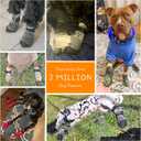 BEAUTYZOO 6PCS Dog Socks to Prevent Licking Paws, Anti Slip Dog Shoes for Hot Pavement Hardwood Floors, Traction Control Toe Grips Boots & Paw Protector for Small Medium Large Senior Dogs, Purple M