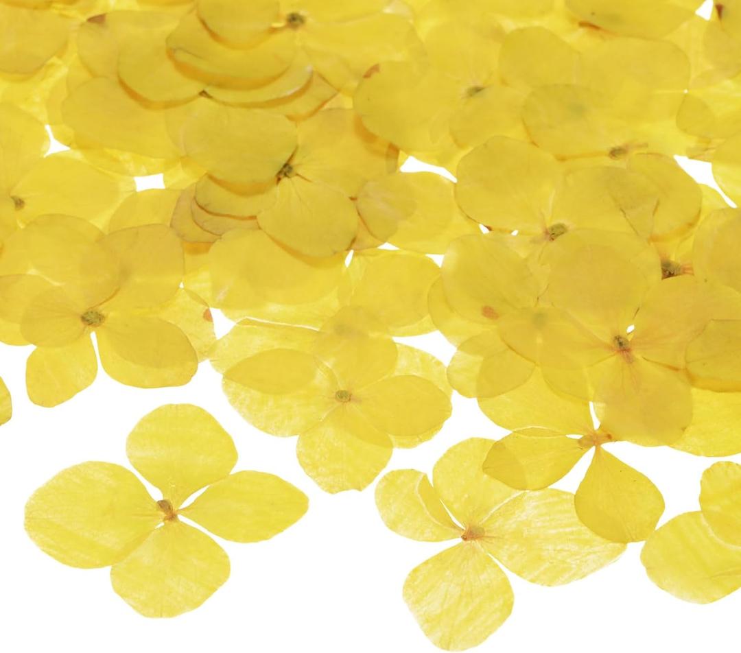 60-Pack Dried Pressed Flowers for Resin, Real Natural Bulk Dry Floral for Crafts/DIY Jewelry/Soap Making/Scrapbooking/Candle/Epoxy Resin Supplies [Yellow]