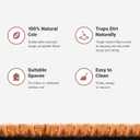 THEODORE MAGNUS Halloween Door Mat - Welcome Mat for Front Door with Non-Slip Backing - Durable Doormat - Perfect for Outside Entrance Matt - Outdoor/Indoor - Boo - 17" x 30"