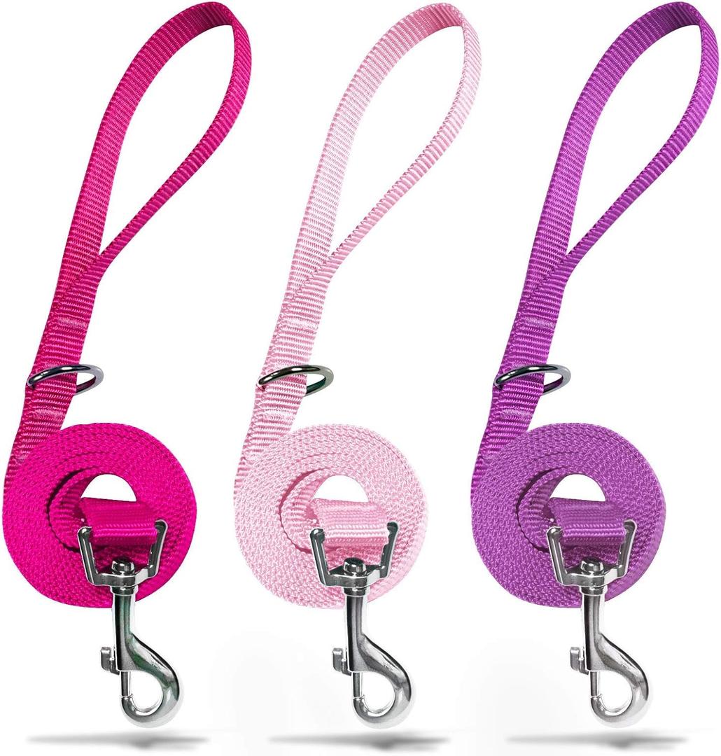 azuza 3 Pack Nylon Dog Leashes,Strong & Durable Basic Style Leash with Easy to Use Collar Hook, Hot Pink/Pink/Purple (XS: 3/8" x 6 FT)