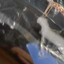 Travelhouse 4-Piece Softside Luggage Set with Spinner Wheels, Black, 4 piece